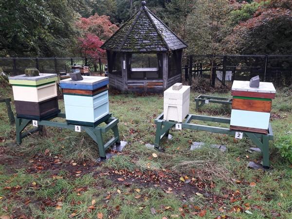 Montgomeryshire Beekeepers Association image